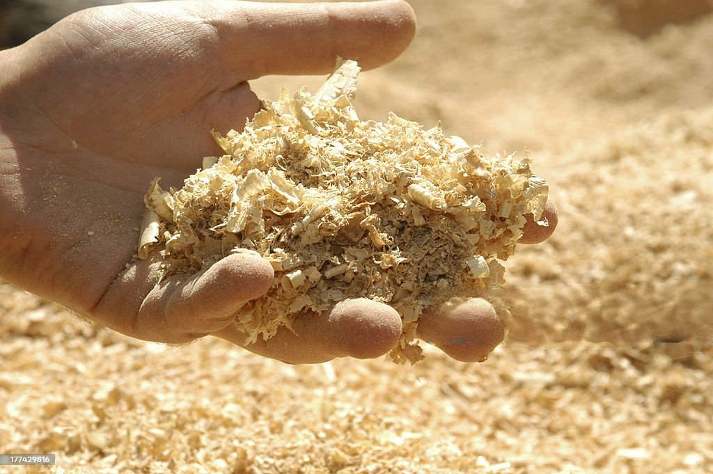 Green fields - sustainable agriculture