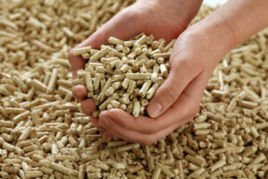 Transforming Agro-Waste into Power: The Rise of Biomass Pellets in Indian Industries